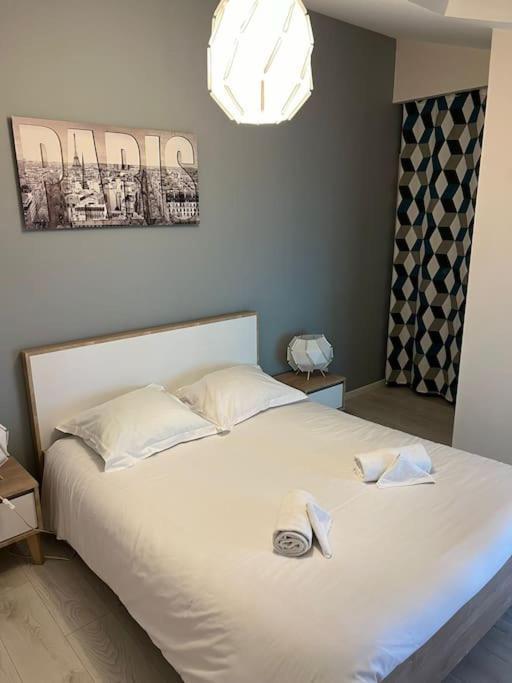 Le Paris Eiffel - Appartement Cosy En Plein Centre Bourgoin-Jallieu Luaran gambar